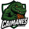 Caimanes del Llano
