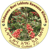 Hadiya Hossana