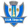 Targu Mures