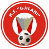 KF Prishtina e Re